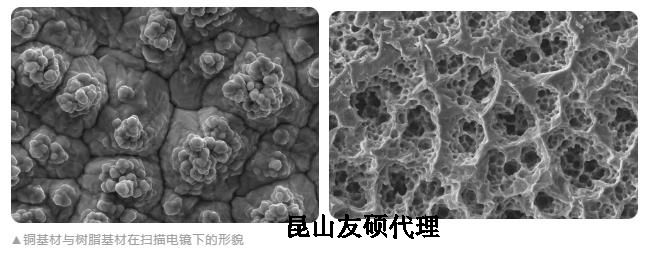 甘肃蔡司甘肃扫描电镜